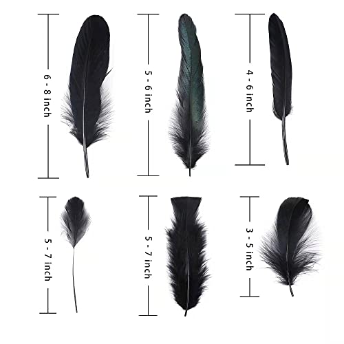 Larryhot Black Craft Feathers Bulk - 240Pcs 6 Style Mixed Natural Feathers For Wedding Home Party, Dream Catcher Supplies And Diy Crafts (Black) #TOP3