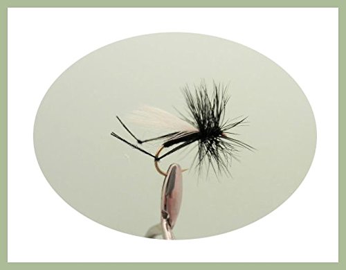 Hawthorn DRY Trout Fly, 12 Pack of mixed 10/12/14, For Fly Fishing