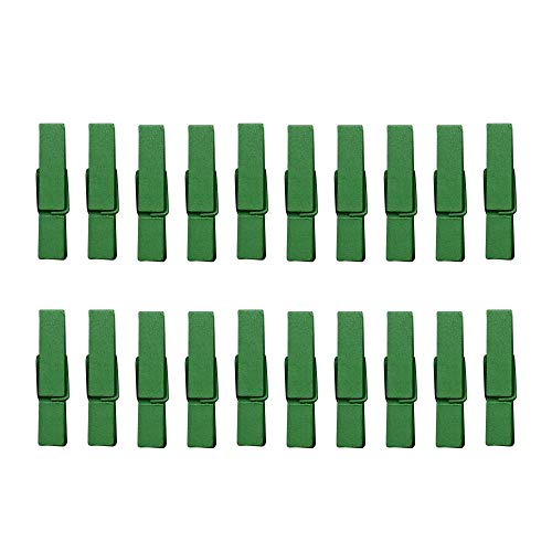 SENDILI Holzklammern - 20 Stück Mini Farbig Weihnachten Fotos Geschenke Dekoration Kleine Wäscheklammern für Fotos mit Juteschnur Kordel, Grün Cover