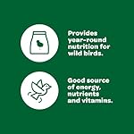 Kaytee Wild Bird Basic Seed, 10 lb - Image 3