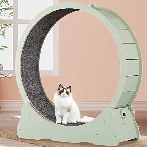 Rueda de ejercicio para gatos – Cinta de correr interior para animales pequeños, dispositivo de fitness y pérdida de peso, juguete para mascotas