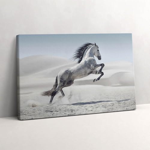 Cheval blanc au galop Tableaux 30x20cm Wallfluent Décoration Murale Peinte