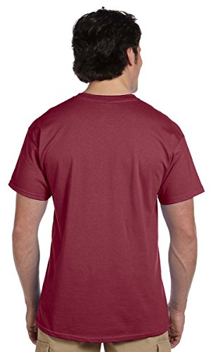 Hanes Men's 5250t2