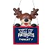 2015 NFL Football Team Logo Reindeer With Sign Holiday Tree Ornament - Pick Team (New England Patriots)
