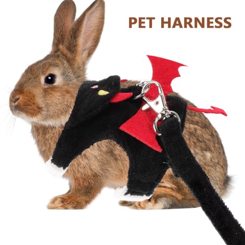 Correa de gato antitirones y ajustable para paseos seguros 4