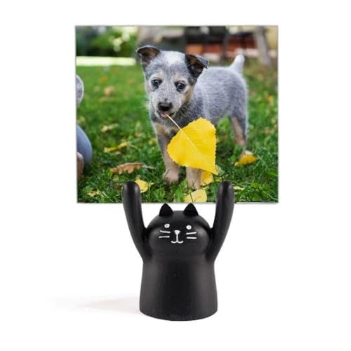 nTȎqEybgʐ^Be̎ʐ^ J[gD[LX^h^z_[