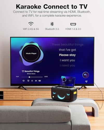 Karaoke-Maschine für Erwachsene mit Textanzeige, eingebautem 13,3-Bildschirm, echte All-in-One-Karaoke-Maschine mit 2 kabellosen Mikrofonen, 800W Bluetooth-Lautsprecher für Party, TV.