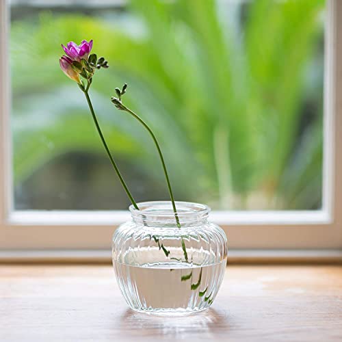 Image of Incrizma Vintage Style Ribbed Glass Bubble Flower Jar Vase 14cm ~ Perfect for Wedding & Home- Vase for Home Decor，Desktop Vases Flower-Vases with Smooth Glass Surface, for Kitchen Decor
