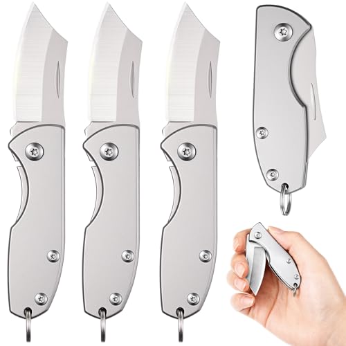 Image of Lothee 3 Pcs EDC Folding Knives - Stainless Steel, 2.48 inch Folded Size, Sharp Portable Tool Knife for Camping Hiking Survival, Practical Gear for Men Women (Silver)