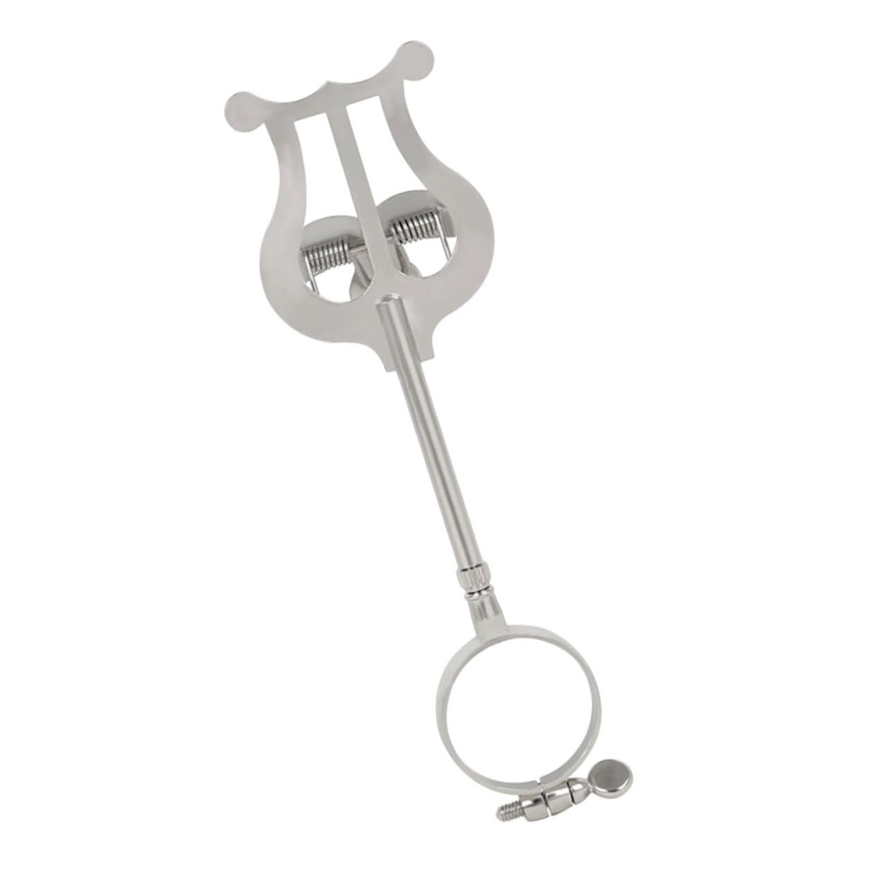 FRCOLOR Notenklammer für Klarinette Notenhalterklammer aus Strapazierfähigem Material Notenclip für Musiker Instrumentenzubehör Silberfarben