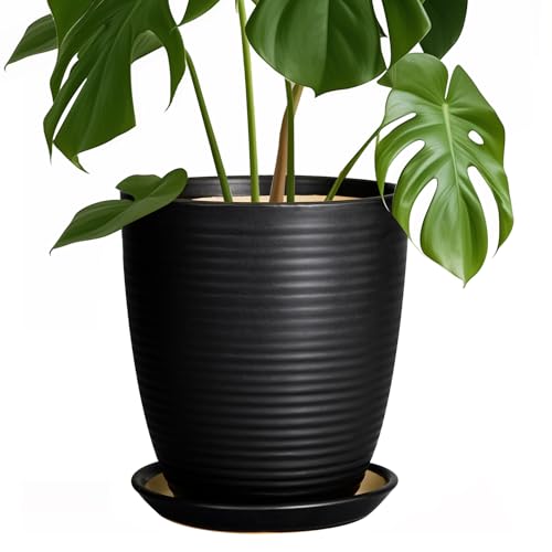 EPFamily Ceramic Plant Pot - 8 Inch Ceramic Planter for Indoor Plants Glazed Round Flower Pot with Drainage Hole and Saucer Black by EPFamily - Used condition - US$33.38