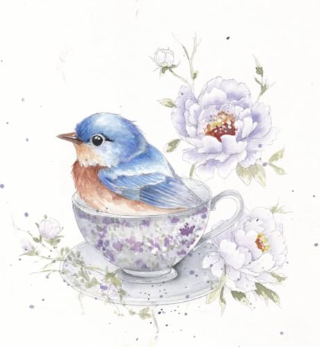 Cahier d'exercices aquarelle Plumes Willow Wolfe WW-WWTT8