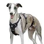 Paworld Escape Proof Dog Harness, Anti Pull Dog Harness, 3 Point Greyhound Harness, Adjustable No Escape Running Vest with Front Clip for Whippet Medium Large Breeds Training (Black, L)