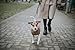 HUNTER Hundepullover MALMÖ, Farbe: beige, klassisches Zopfstrick-Muster, wärmend & bequem, elastisch für optimalen Sitz, reflektierend für mehr Sichtbarkeit, waschbar bei 30°C, Größe: 40
