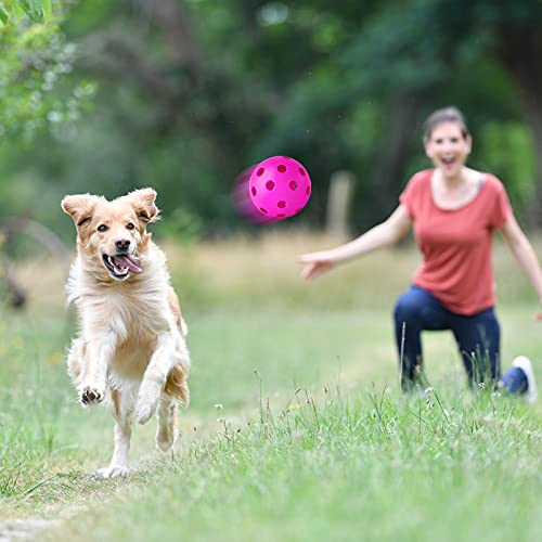 Coopay 12 Pack Baseball Practice Baseballs Plastic Hollow Soft Balls With A Drawstring Bag For Hitting, Baseball Training Indoor Outdoor Use (Pink) #TOP5