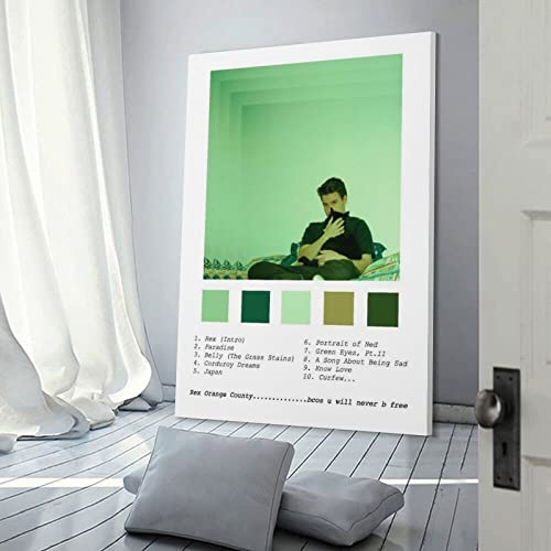 Rex Orange County impression sur toile 40x60 cm pour decoration de chambre