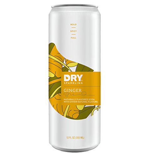 DRY Non-Alcoholic Ginger Botanical Bubbly I 4 Clean Ingredients I Delicious Way to