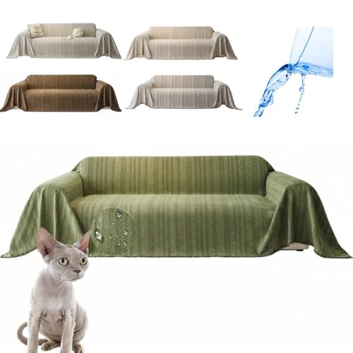 Lifetips f{bNX Devon Rex \t@[Jo[ k  􂦂 h }`Jo[ 2l| 3l| It IȂ ~ Eh~ LΉ lGʗp iO[j i130180CMj