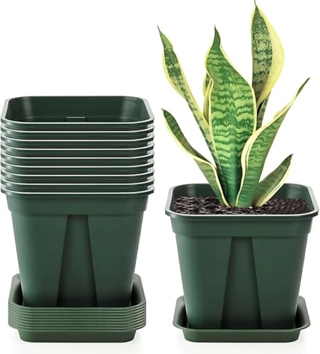 Fasmov 10 Pcs Square Nursery Pot 7 Inch Plastic Plant Pots with Drainage Hole Garden Flower Pots Nursery Plant Container, Flower Planters with Trays for Succulents Herbs Cactus, Green