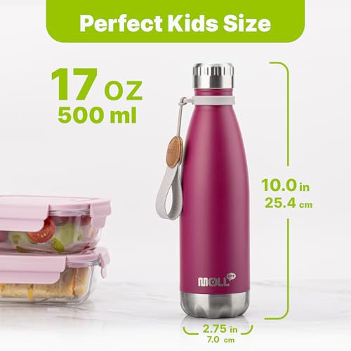 Image of Insulated Water Bottle,17 oz Stainless Steel Double Wall Vacuum,Fuchsia Red