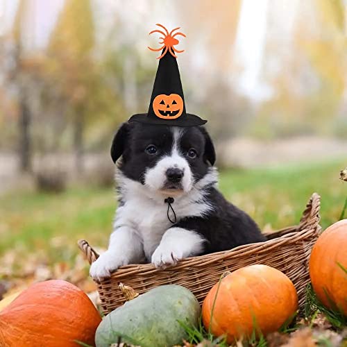 Disfraz de Halloween para mascota con sombrero y moño ajustable miniatura 5