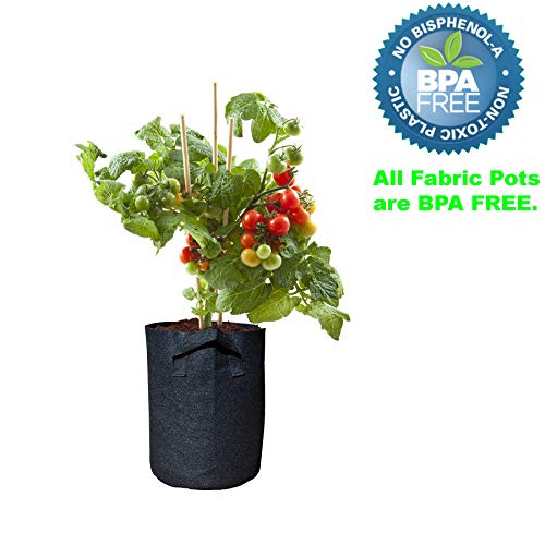 Viagrow V3Gapot-10, 3 Gallon Breathable Fabric Root Aeration Pot With Handles (10 Pack), 3, Black #TOP2