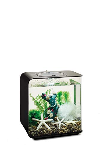 biOrb Decor Set – 15L Flower Garden - Image 4