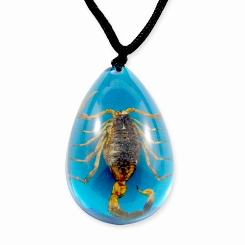 REALBUG Collar de escorpión dorado, azul, grande