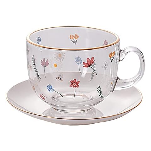 Teetasse aus Glas Frühstückstasse mit Glasunterteller Kristallklares Glas Tee Cup aus Borosilikatglas Müslischale Glasschale Teegläser Valentinstagsgeschenk Cover
