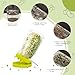 Wide Mouth Mason Jar Sprouting Kit with Sprouting Lids and Drainage Tray - Ideal for Bean, Alfalfa Sprouts and Microgreens, Vertical and Angled Placement Support(Two lids and two drip trays)