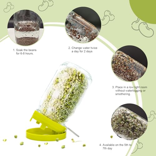 Wide Mouth Mason Jar Sprouting Kit with Sprouting Lids and Drainage Tray - Ideal for Bean, Alfalfa Sprouts and Microgreens, Vertical and Angled Placement Support(Two lids and two drip trays)‼️missing 1 lid and 1 drip tray‼️