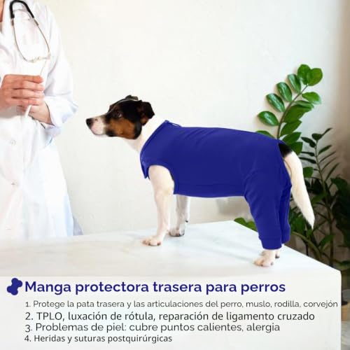 Camisa de recuperación para perros ideal para el descanso postoperatorio azul L 6