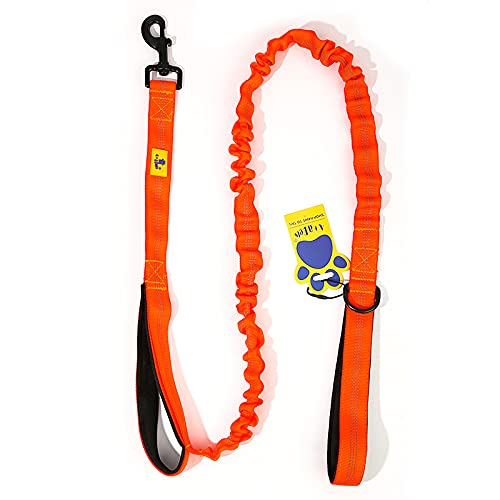 A+a Pets No Pull Bungee Leash with Dual Handle (Orange) (B09B2KY5GV) Amazon Price History, Amazon Price Tracker