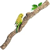 XXL Kork-AST | 100 cm lang | AST von der Korkeiche/Korkbaum | Naturkork-Rinde als Terrariumausstattung | Made in Portugal
