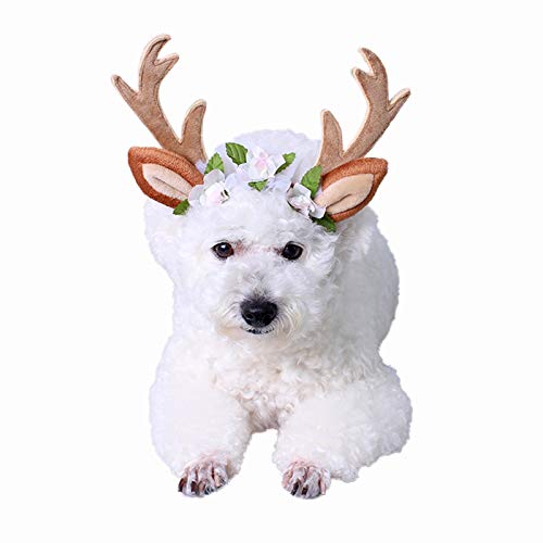 PEDOMUS Katze Kostüm Weihnachten Kopf Hoop Weihnachten Rentier Geweih Katze Hund Headwear mit Blumen für Katze und kleine Hund Größe S