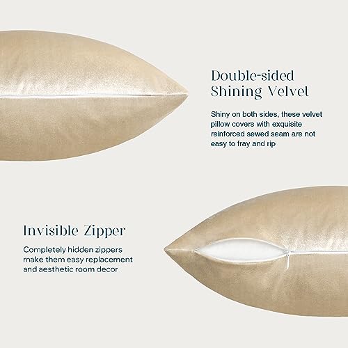 Phantoscope Pack of 2 Velvet Decorative Throw Pillow Covers Soft Solid Square Cushion Case for Couch Shiny Beige 12 x 20 inches 30 x 50 cm