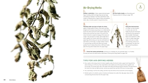 Beginner's Guide to Dehydrating Food: How to Preserve all Your Favorite Vegetables, Fruits, Meats and Herbs