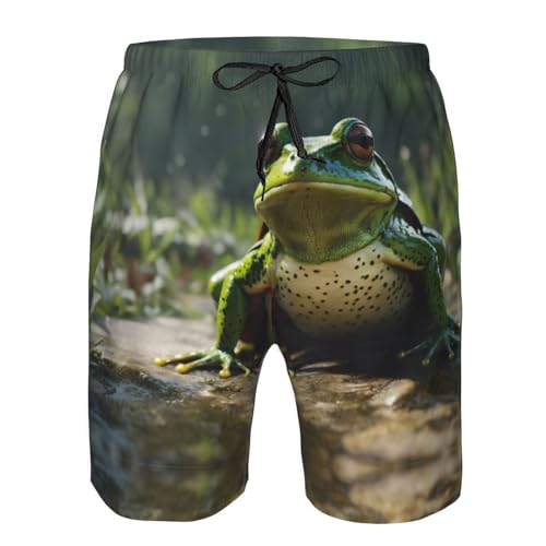 Frog Leaves Print Mens Beach Pants Men's Novelty Swimtrunks Quick Dry Lining Beach Board Shorts S-3XL4