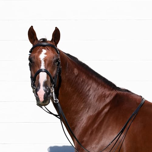 Equinavia Saga Double Bridle w/Reins - Black - Cob