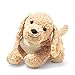 Produktbild Steiff 067075 Berno Goldendoodle - 36 cm - Kuscheltier - beige, Autumn Blonde