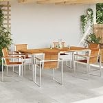 Garten Essgruppe Teak & Edelstahl für 6 Personen Braun