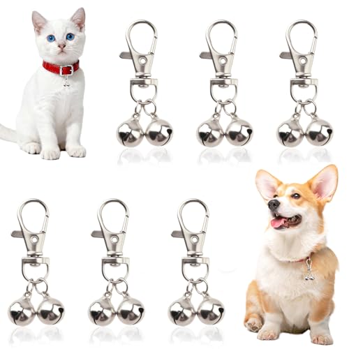 LUSTRIB 6 ~jLփxAVo[̎փxA^pAybgpWO`[x փybgI[igg[jOANZT[