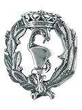 Alylosilver Insignia Profesional de Farmacia Pin para Hombre Mujer en Plata 925 con Caja para Regalo.