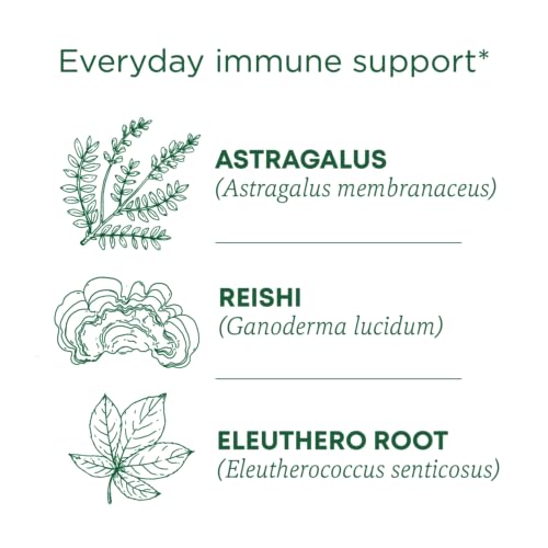 Traditional Medicinals Tea, Organic Stress Ease Immune with Adaptogens, Everyday Immune Support, Reishi Warming Spice, 16 Tea Bags - Image 3