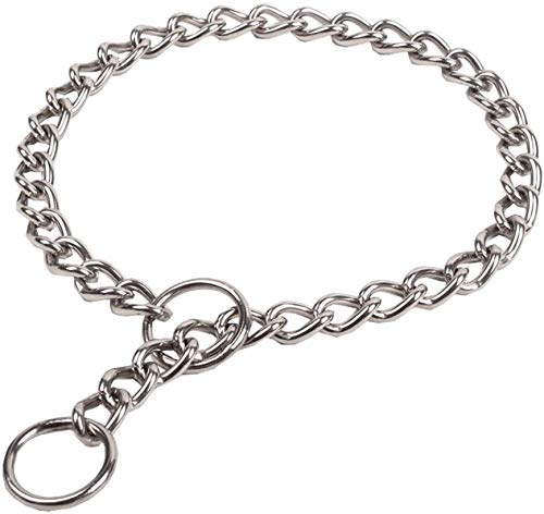 Collier de dressage pour chien : fini les laisses cassées en balade