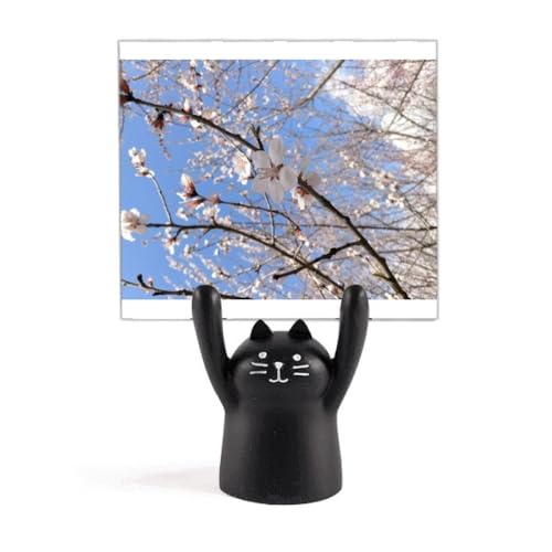 Support de photographie chat noir pour sublimer vos photos de bijoux sur les réseaux