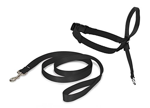 PetSafe Easy Walk Kopfhalfter, Aus widerstandsfähigem und weichem Nylon, Leichtes An- und Ausziehen, Größe L, Schwarz