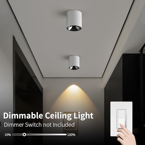 Image of JAYMP Modern LED Ceiling Spotlight 3000K Dimmable 24W White Surface Mount Cylinder Down Light for Living Room Hallway Laundry Room