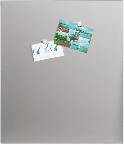 Blomus 66749 - Pizarra magnética de 197 x 236in Muro