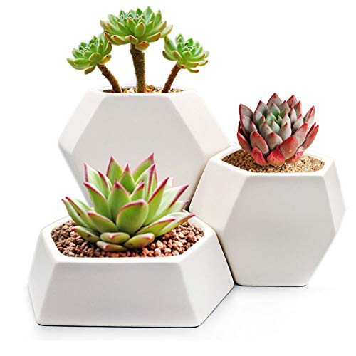 Modern Ceramic Geometric Planter ( 3 Pack-White) Hexagon Succulent Plant Pot/Cactus Flower Pot/Container